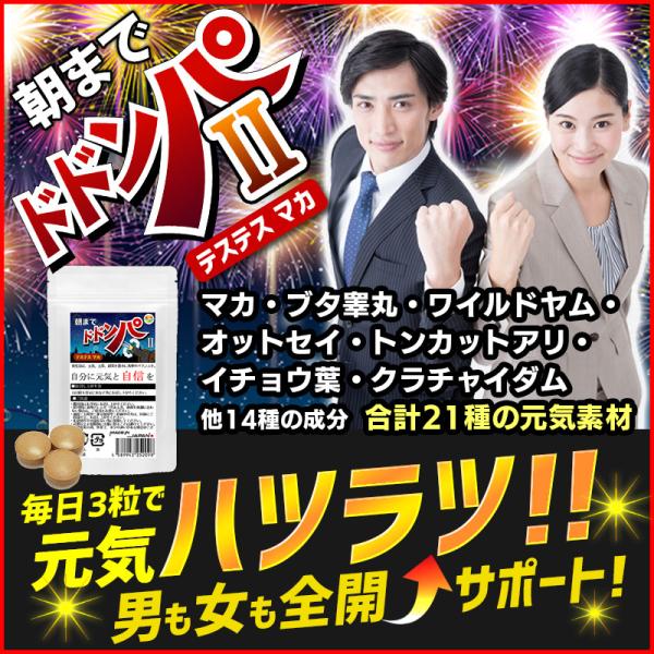 New　朝までドドンパ  90粒　約1か月分　テステス豚の睾丸 マカを主成分とし21種類もの動物系素...