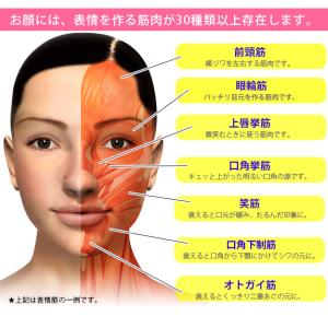 表情筋トレーナー フェイスリフトアップ マウス...の詳細画像4
