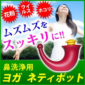 ヨガ ネティポット 鼻洗浄専用ポット 鼻洗浄器 ...の商品画像