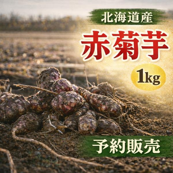 【即納】WAKASUGI 菊芋 生菊芋 1kg 北海道産 岐阜県産 イヌリン 菊芋茶 菊芋チップス ...