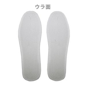 温熱インソール 遠赤外線 トルマリン成分+磁石...の詳細画像2