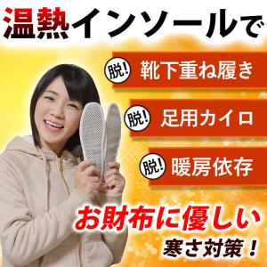 温熱インソール 遠赤外線 トルマリン成分+磁石...の詳細画像5