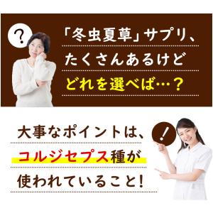 W冬虫夏草粒 240粒 1日4粒で約2か月分 ...の詳細画像2