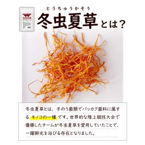 W冬虫夏草粒 240粒 1日4粒で約2か月分 ...の詳細画像3