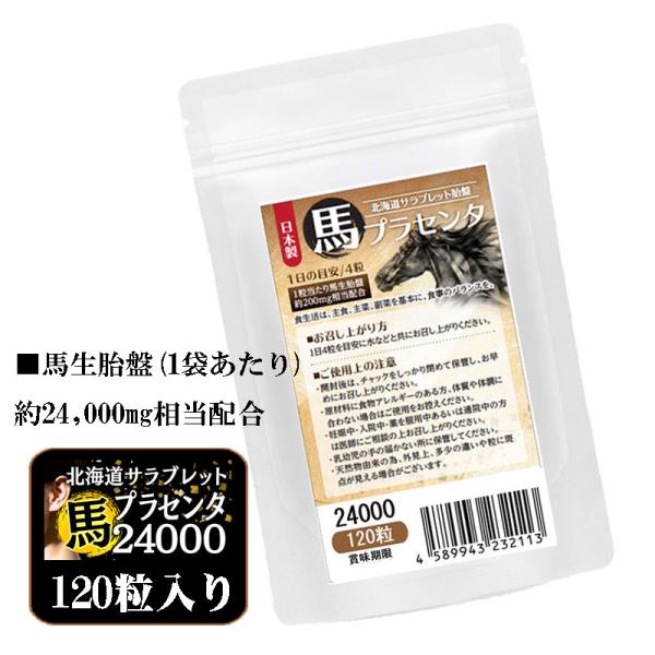 馬プラセンタ24000 お徳用120粒　北海道サラブレット胎盤使用　1日目安/4粒　約1ヶ月分　1袋...