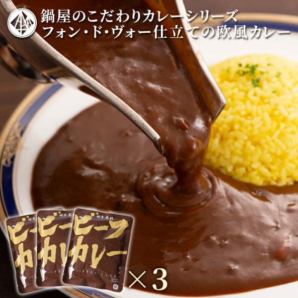 カレー 欧風ビーフカレー（200g×3p）レトルトカレー ビーフカレー 牛肉 惣菜 料理 博多若杉