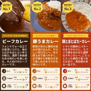 【訳あり半額!】カレー 3種アソートセット (...の詳細画像3