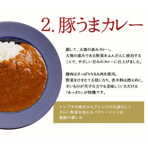 【訳あり半額!】カレー 3種アソートセット (...の詳細画像5