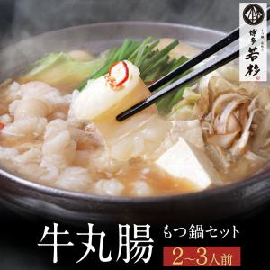 もつ鍋 丸腸 もつ鍋セット （2〜3人前） お取り寄せ鍋セット