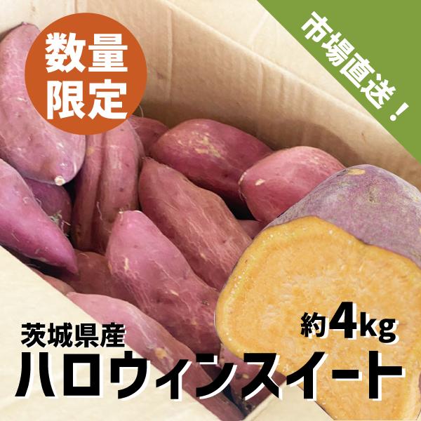 国産 ハロウィンスイート 約４kg Lサイズ さつまいも サツマイモ 焼き芋 茨城県 千葉県 オレン...