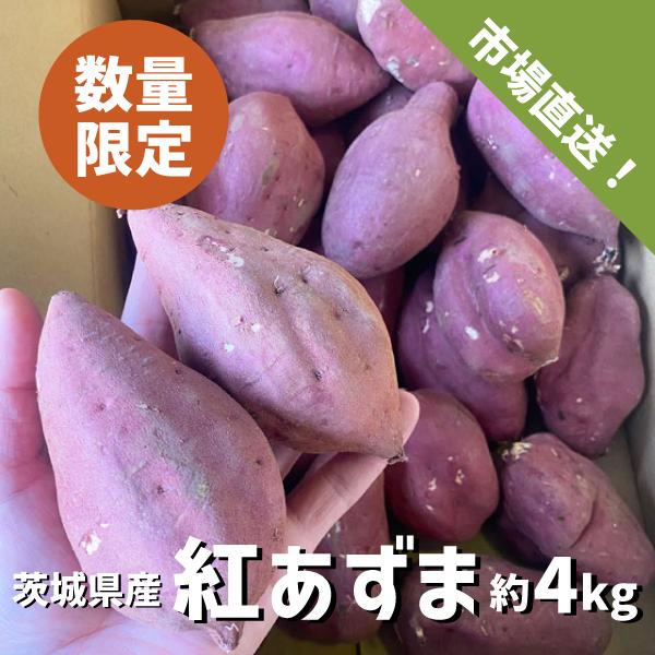紅あずま 約４kg M〜Lサイズ 短丸規格 茨城県 さつまいも サツマイモ 焼き芋 国産 さつま芋 ...
