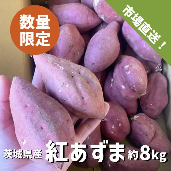 茨城県産 紅あずま 約８kg M〜Lサイズ 短丸規格 さつまいも サツマイモ 焼き芋 国産 さつま芋...