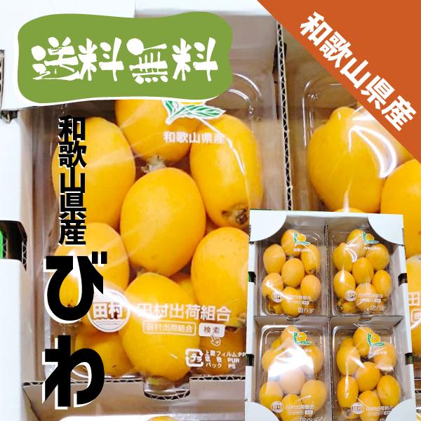 和歌山県産 びわ 約1kg（約250g×4パック）和歌山 田村 ビワ 送料無料 枇杷