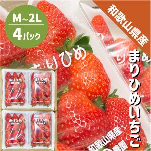 和歌山県産 まりひめ いちご M〜2L ４パック（250g×4パック）和歌山 紀の川市 ブランド 苺 イチゴ 送料無料 贈答 産地