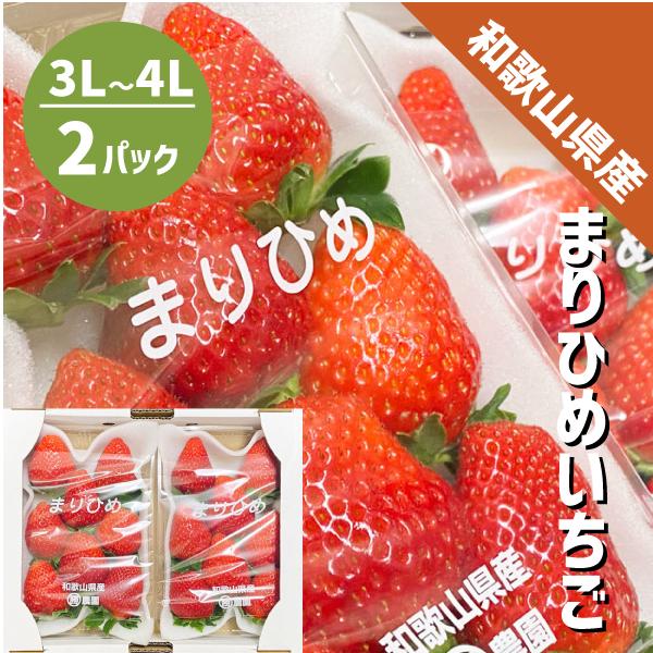 和歌山県産 まりひめ いちご 3L〜4L ２パック（300g×2パック）和歌山 紀の川市 ブランド ...