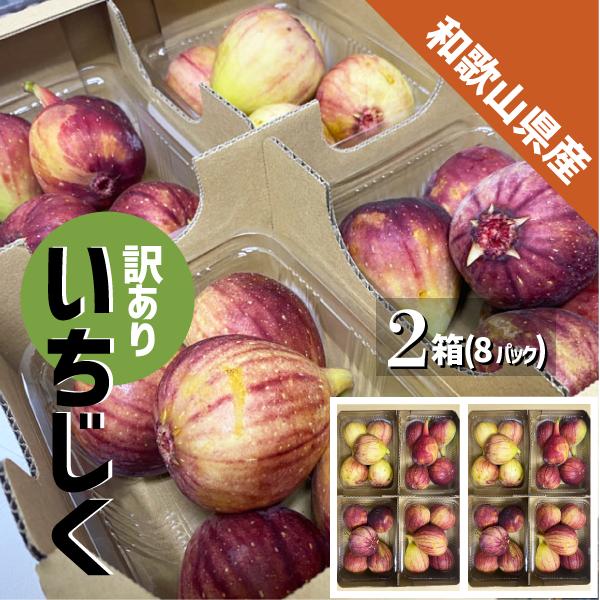 いちじく 訳あり 約2.8kg(約350g×８パック) 和歌山県産 傷 めく れ イチジク 無花果 ...