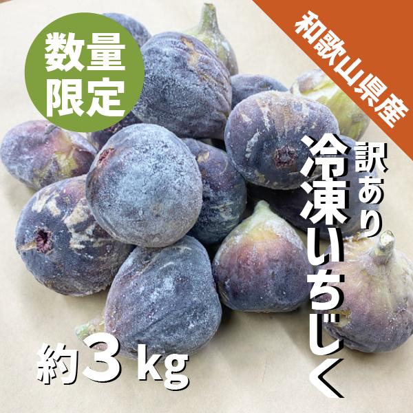 いちじく 冷凍 約３kg 2025年産 和歌山県産 ジャム コンポート 訳あり 加工用 いちじく 冷...