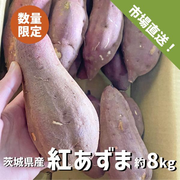 茨城県産 紅あずま 約８kg M〜Lサイズ 中太規格 さつまいも サツマイモ 焼き芋 国産 さつま芋...
