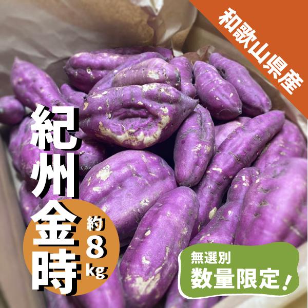 和歌山県産 紀州 金時 約８kg ご家庭用 さつまいも 訳あり サツマイモ 焼き芋 干し芋