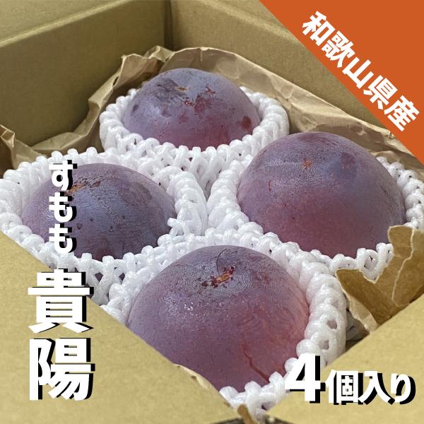 貴陽 すもも ４玉入り プラム 高級 スモモ きよう 国産 和歌山県 山梨県 ギフト 贈答品