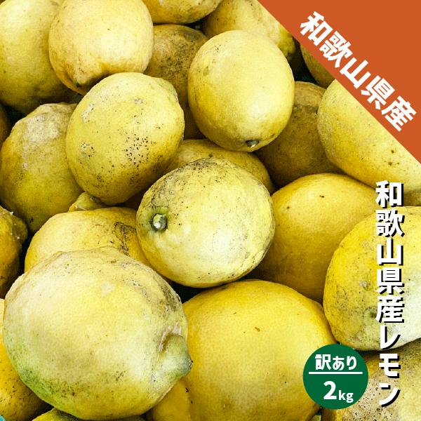 和歌山県産 減農薬 レモン 黄色 約2kg 国産レモン 防腐剤・ワックス不使用 訳あり 紀の川市 数...