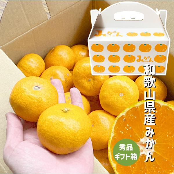 みかん ギフト箱 秀品 1箱 約2kg S〜Lサイズ 和歌山県産 有田 紀の川市 ミカン ご家庭用