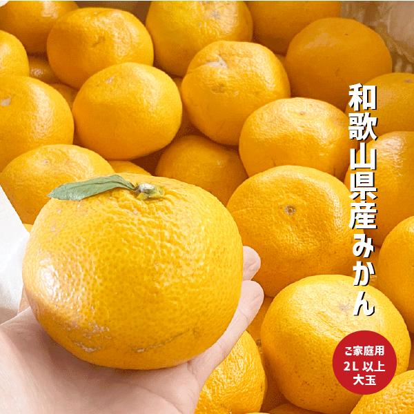 みかん 大玉 訳あり 約1kg〜5kg 2Lサイズ以上 和歌山県産 有田 紀の川市 数量限定 ミカン...