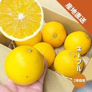 ネーブル 約4kg ご家庭用 和歌山県産 ネーブルオレンジ オレンジ ネーブル 約4kg ご家庭用 和歌山県産 ネーブルオレンジ オレンジ