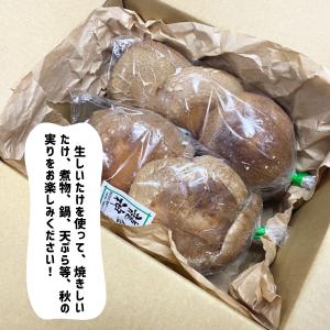 和歌山県産 龍神村産 生しいたけ 約1.2kg...の詳細画像2