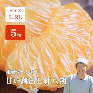 紅八朔 みかん 高糖度 5kg 和歌山 箱買い 那須さんの甘い蔵出し紅八 紀南みかん 送料無料