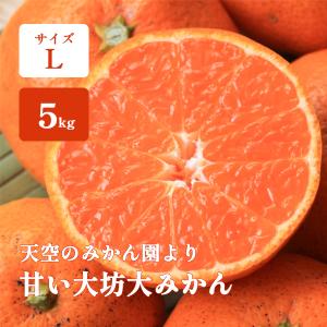 みかん 5kg L玉 和歌山 箱買い 甘い大坊越冬大ミカン 紀南みかん 早生 送料無料
