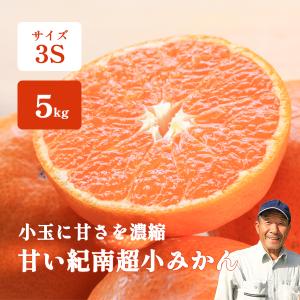 みかん 5kg 小玉 高糖度 3S玉 和歌山 箱買い 田組さんの甘い超小ミカン 紀南みかん 送料無料