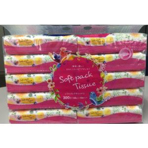 クリネックスティシュー180組 5箱パック : 春かぜ千里 日用良品