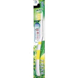 フレッシュ　Ｍカット　ふつう