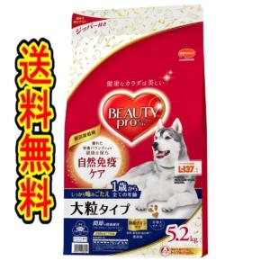 日本ペットフード ビューティープロ 1歳から 大粒 チキン 成犬用 5.2kg｜wakeari
