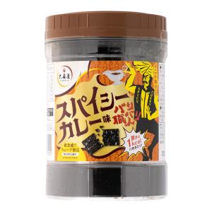 賞味期限間近 食品 お菓子 スナック菓子 のり スパイシーカレー