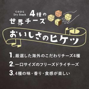 ドライチーズ 4種 おつまみ 80g フリーズ...の詳細画像2