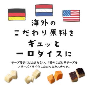 ドライチーズ 4種 おつまみ 80g フリーズ...の詳細画像3