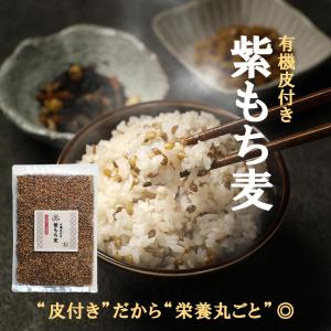 紫もち麦 皮つき 無農薬 有機 500g オーガニック もちむぎ ダイシモチ ごはん 雑穀 低GI