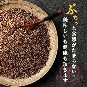 紫もち麦 皮つき 無農薬 有機 500g オー...の詳細画像2