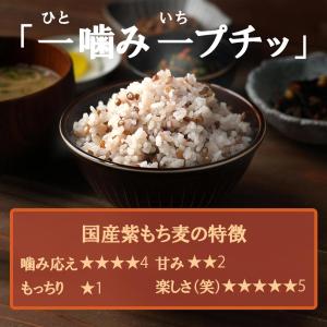 紫もち麦 皮つき 無農薬 有機 500g オー...の詳細画像3