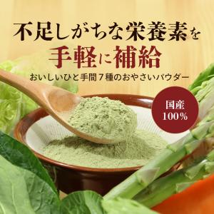 野菜 粉末 パウダー 7種 60g 離乳食 9...の詳細画像1