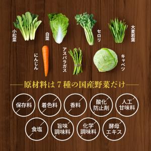 野菜 粉末 パウダー 7種 60g 離乳食 9...の詳細画像2