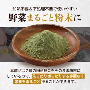 野菜 粉末 パウダー 7種 60g 離乳食 9...の詳細画像3