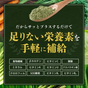 野菜 粉末 パウダー 7種 60g 離乳食 9...の詳細画像4