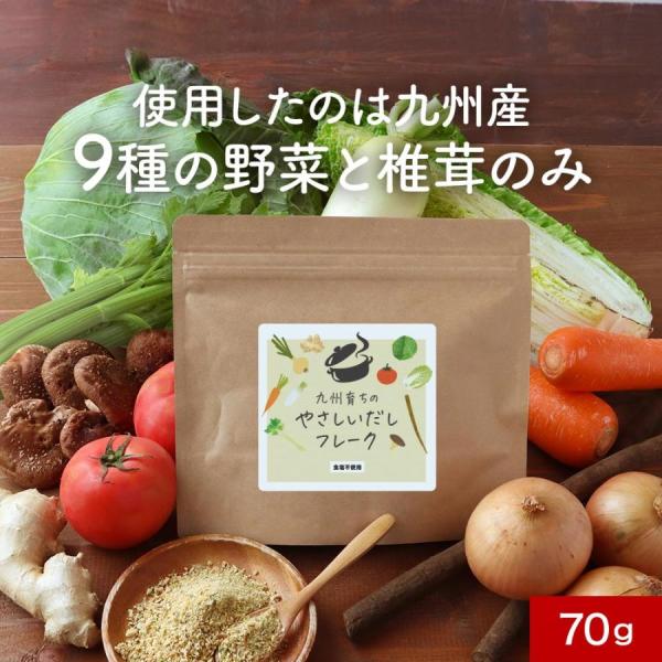 ポイント5倍 野菜だし フレーク 粉末 国産 70g 無添加 出汁 食塩不使用 酵母エキス不使用 九...