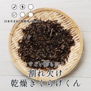 きくらげ 乾燥 国産 菌床栽培 200g 割れ...の詳細画像2