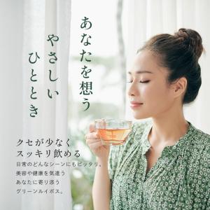 グリーンルイボスティー 50包 オーガニック ...の詳細画像2