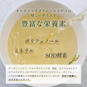 グリーンルイボスティー 50包 オーガニック ...の詳細画像5