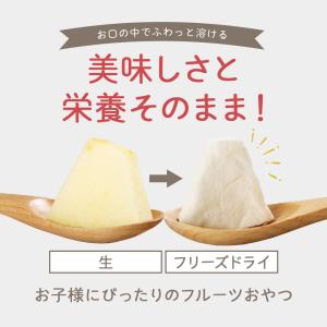 りんご フリーズドライ 青森県産 20個入(4...の詳細画像2
